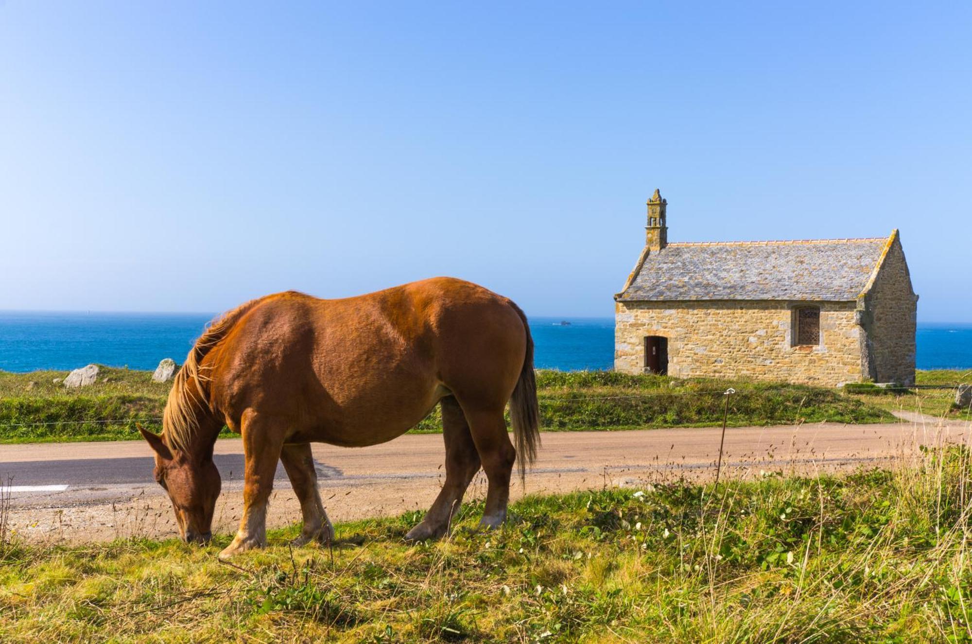 Ty Nevez - Jolie Maison Neuve Avec Petite Vue Saint-Pabu (Finistere)